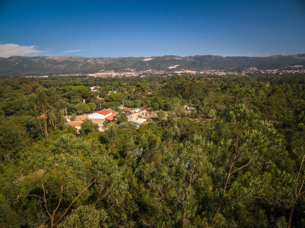 Casal Das Fontainhas Alcobaça Eksteriør billede